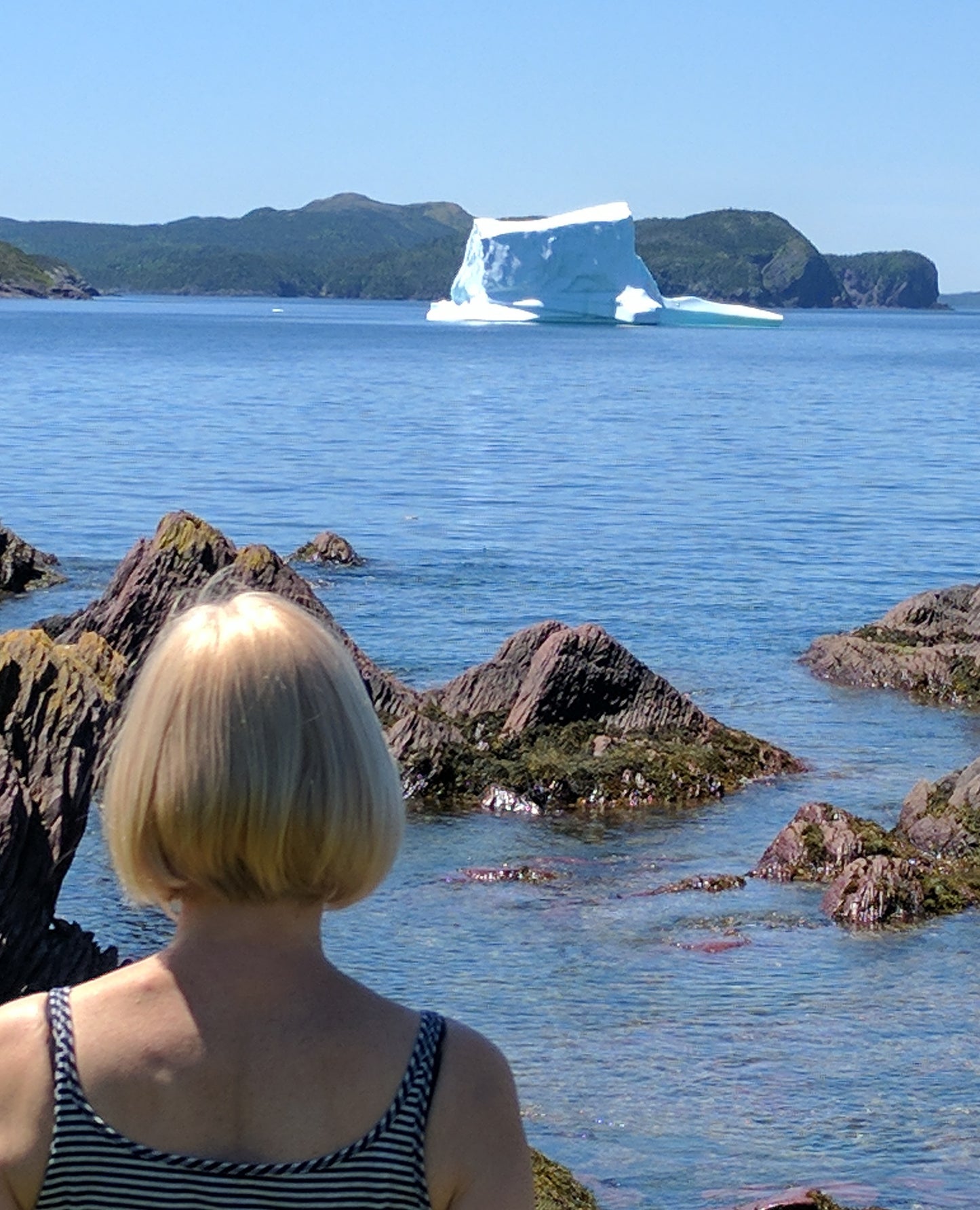 AVAILABLE - Cross Canada Series - Newfoundland and Labrador, Iceberg Alley, 2024 (12x12")